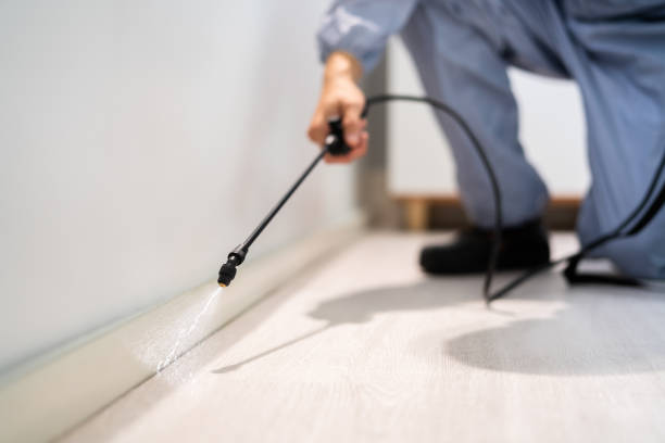 Licensed Pest Control service in Alturas, CA - Show Me Pest Control