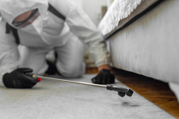 Professional Ant Control technician working in Alturas, CA