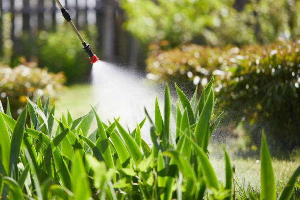 24/7 Emergency Ant Control experts in Alturas, CA